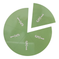 Large Magnetic Fraction Circles -Teachers Set