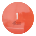 Large Magnetic Fraction Circles -Teachers Set