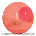Large Magnetic Fraction Circles -Teachers Set