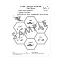  What Does Miss Bee See? Sight Words with Lessons! - 1st Grade