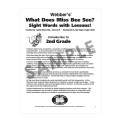 What Does Miss Bee See? Sight Words with Lessons! - 2nd Grade