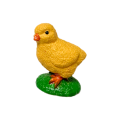 Life Cycle Model of Chicken / Rooster