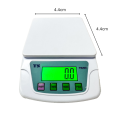 Electronic Compact Scale