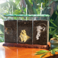 Now You See It, Now You Don't See-Through Compost Container