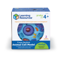 Soft Foam Cross-Section Animal Cell Model