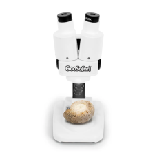 GeoSafari® Stereoscope