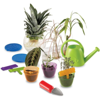 Primary Science Plant and Grow Set 