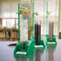 Hydroponics Lab: Growing Plants